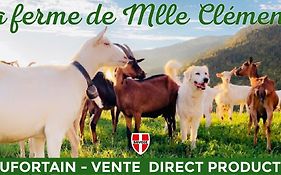 Appartement En Montagne